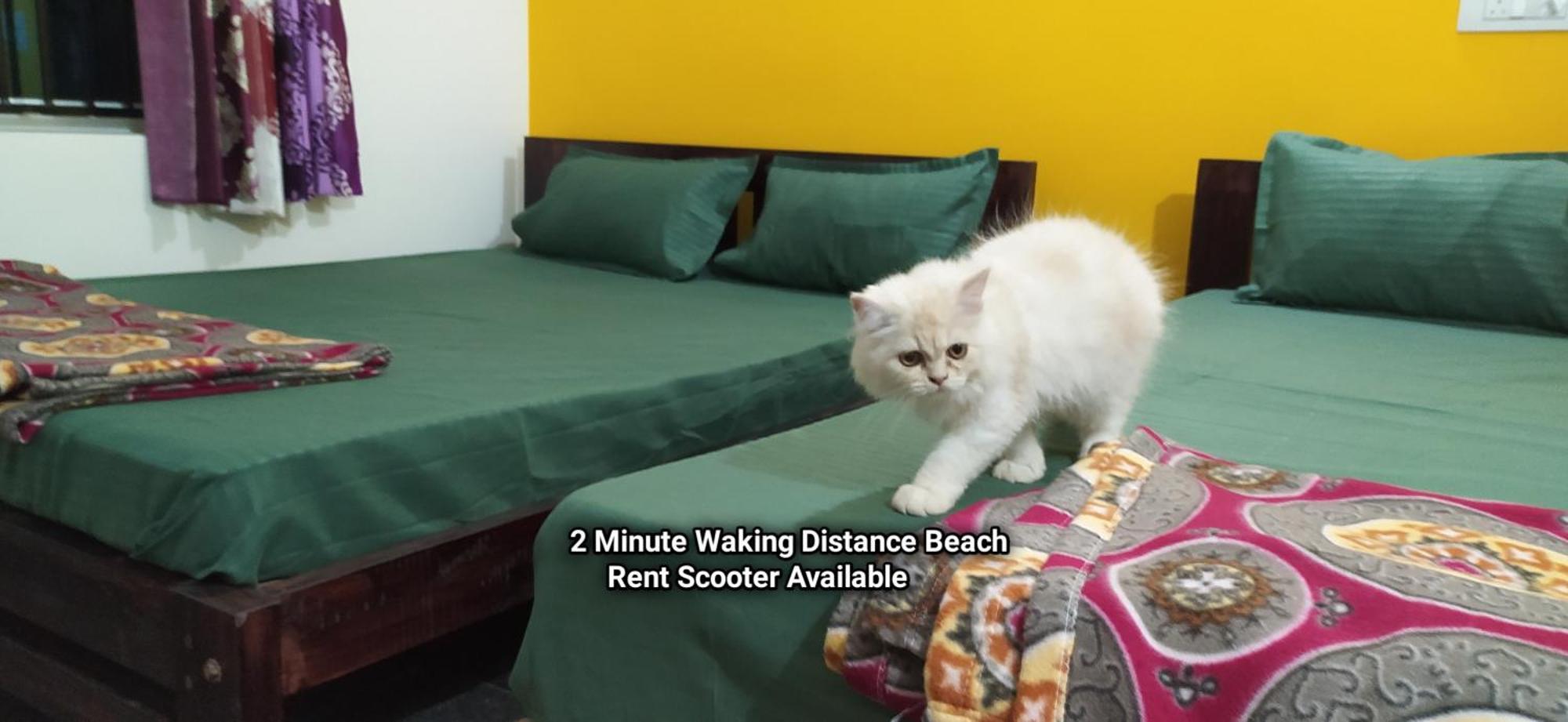 Sarvesh Arundekar Home Stay In Beach Side Ac Room Gokarna  Exteriér fotografie